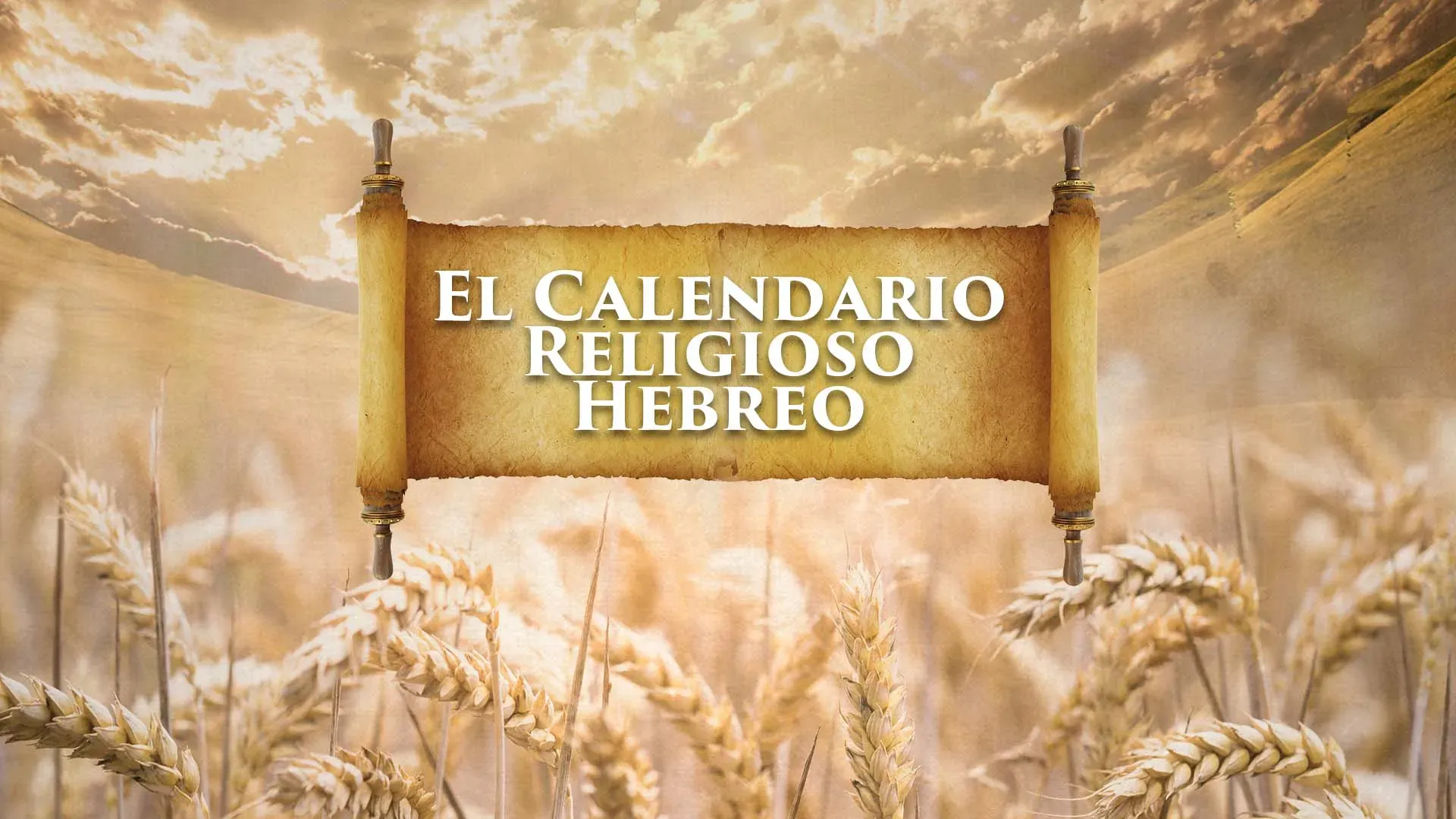 425-ANCL22-cover.webp