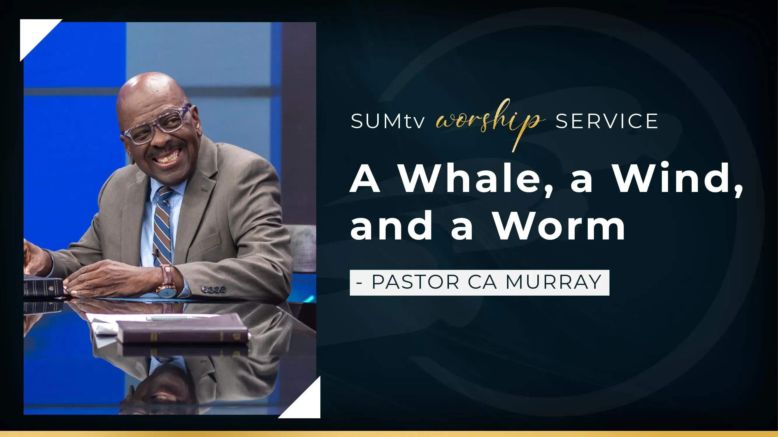 A Whale, a Wind, and a Worm