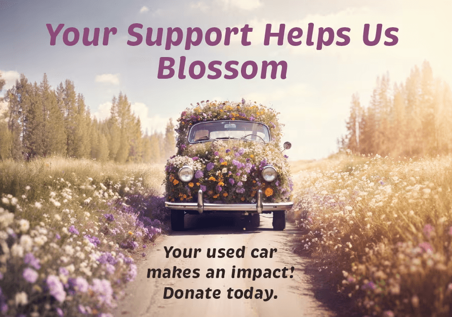 donateAcar.avif